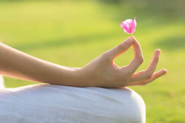 Rediscovering Rest: How Lotus Psychology Practice Utilizes Evidence